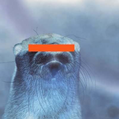 orth0gonal's profile picture. find alfa
