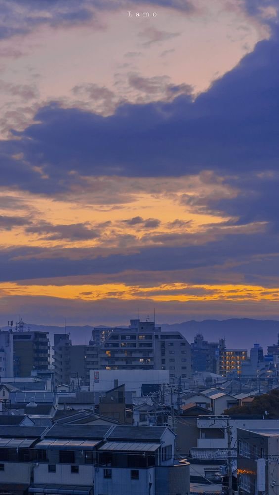 human_made_'s profile picture. こはねしゃん💭