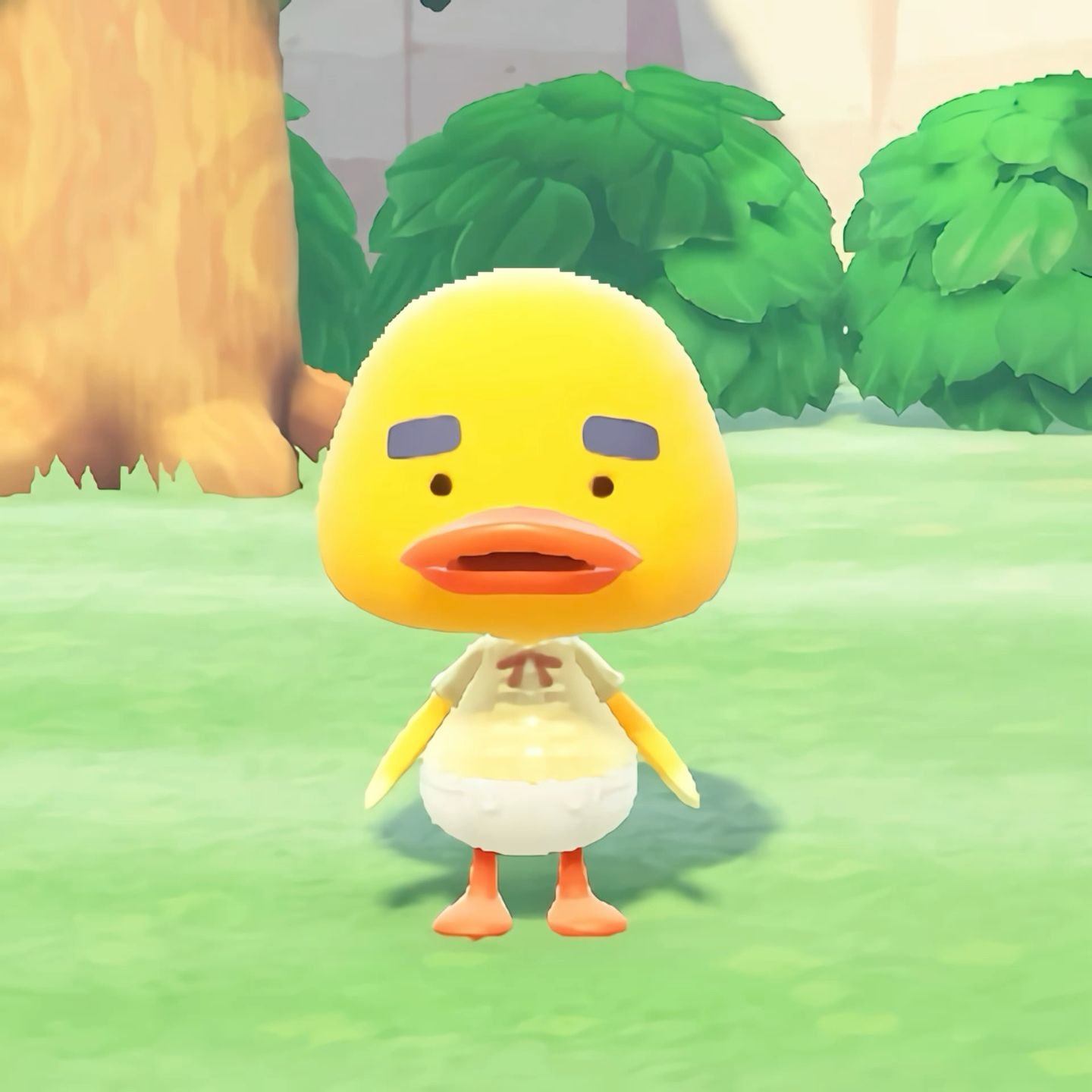 BharAmith's profile picture. ぴょんこる🍑💎