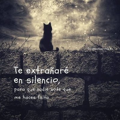 Cryptia214404's profile picture. 