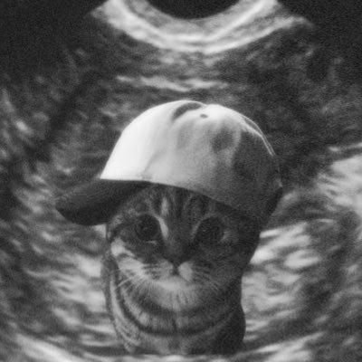 cielody_'s profile picture. 𝑗𝑢ℎ𝑜𝑜𝑛