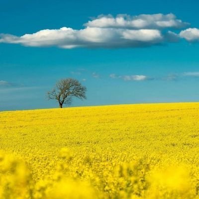 peals483's profile picture. I serve God.