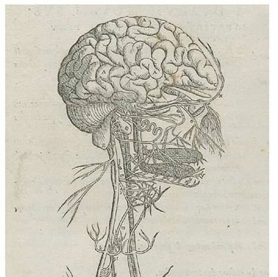 Somehowtheyknow's profile picture. her | antifascist | here to read about human evolution