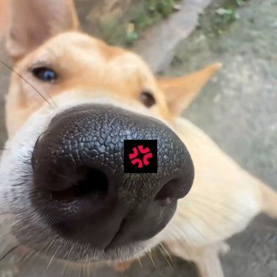 MoonKing20216's profile picture. Crypto Trader | Researcher | Educational AI, RWA & DePIN Content | Strategic Advisor @plumenetwork @campnetworkxyz