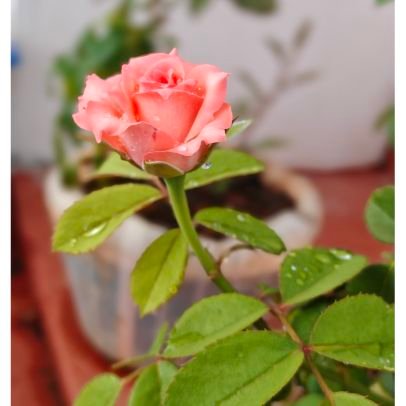 NJagathies3201's profile picture. 