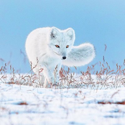 faikfhei's profile picture. 人の群れの喧騒の中で一瞬の静かさを見つけて、絵筆の流れの中で自分に出会って、平凡な生活も優しく光ることができます🕊️🎨✨
アメリカとメキシコの国境の風が吹いて、私は世界の反対側に立っています🌞