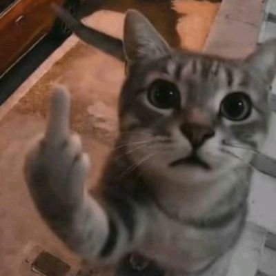 S_J_Kabini's profile picture. 