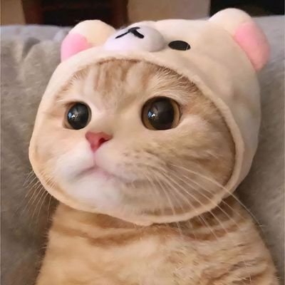 BaiiMi_dari's profile picture. 🐹 Meลูกเป็นเคะ.. . Meเมะเป็นเขย 🐳💫
#PondPhuwin #JoongDunk #SkyNani #JuniorMark #ForceBook