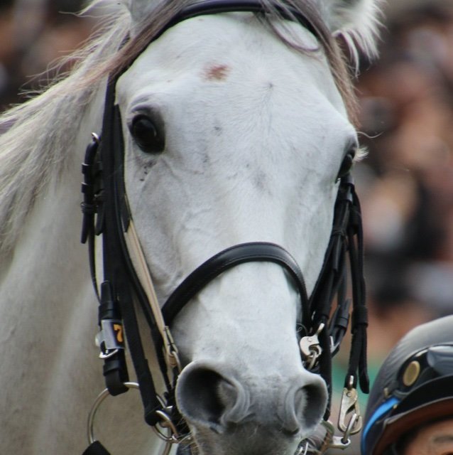 Nakazawayupdzik's profile picture. 