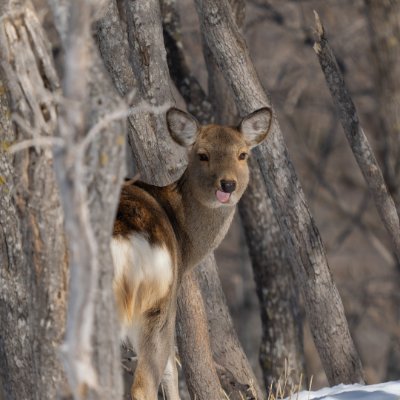 czy_hi_mun's profile picture. ある時は1杯のコーヒーと旅と1枚の切符です疲れた心をリセットすることができます☕
ショッピングの小さな幸せで自分を癒したり、忘れられない時間を絵で記録したりするのも好きです🎨💫