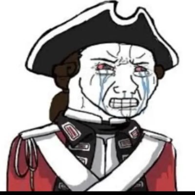 angloid0's profile picture. 18 years old - 🇬🇧 Patriot - contact - angloid2.tt@proton.me