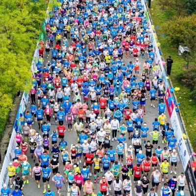 Charcoal_zheng's profile picture. Chinese GEC, VCM CERs Trading, contact me through info@agriforestry.net Longdistance runner