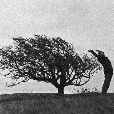 Ahmedd661's profile picture. يصير خير