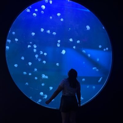 alejandraleo's profile picture. 