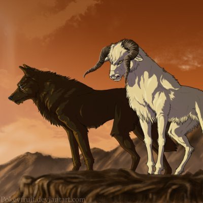 umjtcankose's profile picture. physic