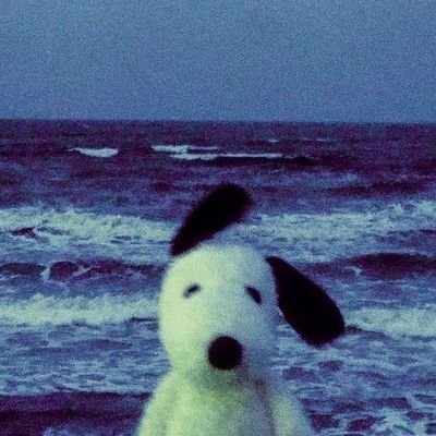 Houtarou_18's profile picture. 