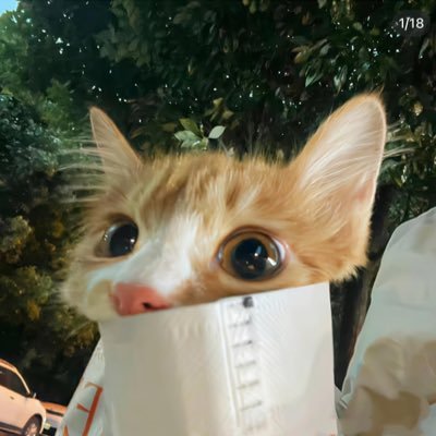 minitrader8's profile picture. 目标日赚2ku。