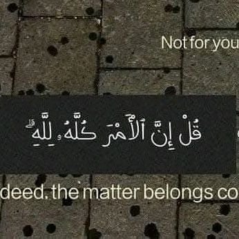 mohamed_an60945's profile picture. 