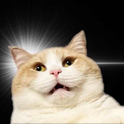 kurowaa_psysan's profile picture. PC/雀魂 CS/APEX、ow2、原神 Switch/スプラ、オーバークック、ヒューマンフォールフラットetc... 無言フォロー失礼します🐈