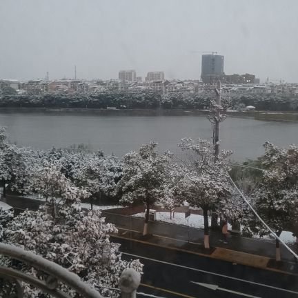 tanghy35848's profile picture. 思维为认知