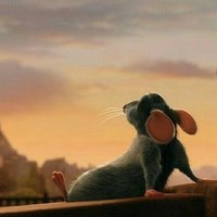 LittleMisssomebody💕 (@ahotcupofyolo) 's Twitter Profile Photo