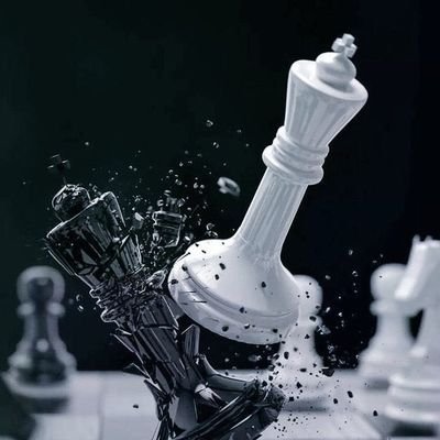 @TraderTk363493