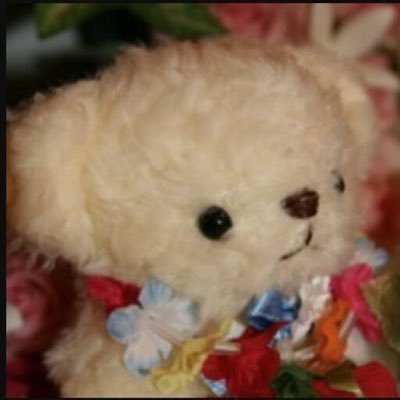 SnKolili's profile picture.