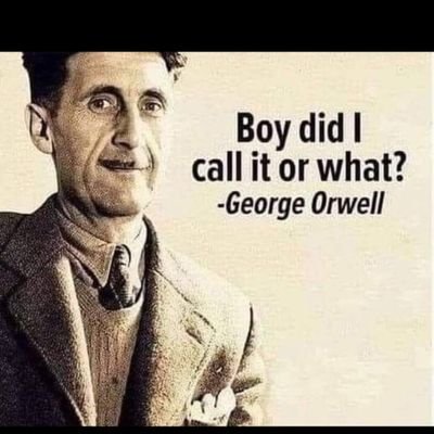 Seanyboy888138's profile picture. Dad to 4 very good humans, gold bug, car lover, General Manager. God over government.🧄✝️
🚫😷🚫💉