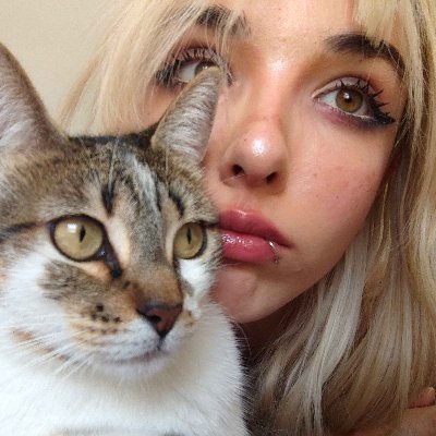 NotHimawarra's profile picture. yo y mis gatos (^3^♪  afiliada en twitch https://t.co/q2skzVjZHY
me gusta el arte 3d dibujar los jueguitos y muchas cosas 𖹭 4-11