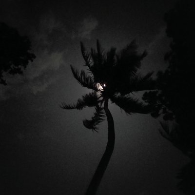 AchinthaNi80960's profile picture. 