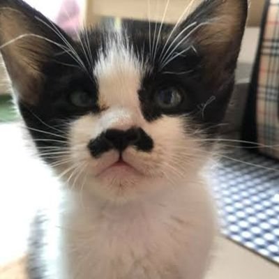 babyeueuro's profile picture. แล้วแต่แป๋วเลยครับ