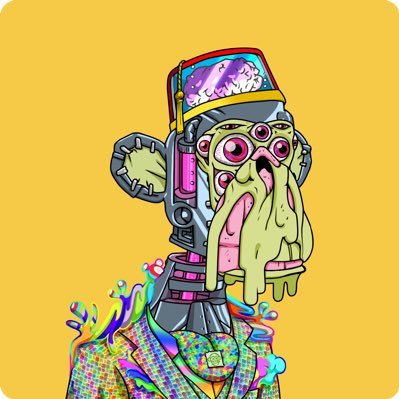 MAYC2053's profile picture. no squares in my circle - international rug collector