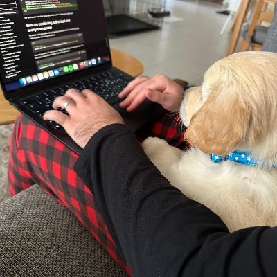 256elt's profile picture. swe;