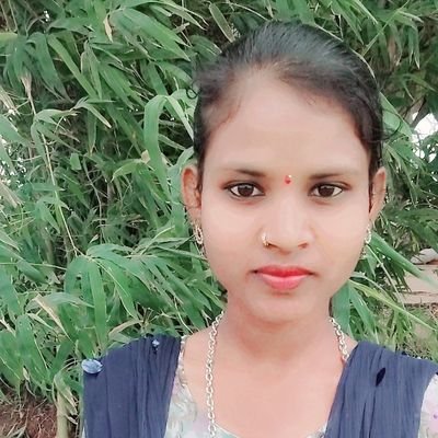 SukhdeSuni5335's profile picture.