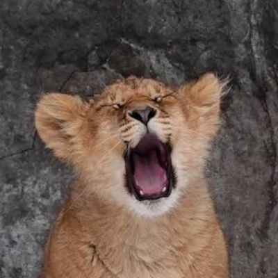 sobeisan's profile picture. 凍結されたのだ。バージョンアップのつもりで再起したのだ