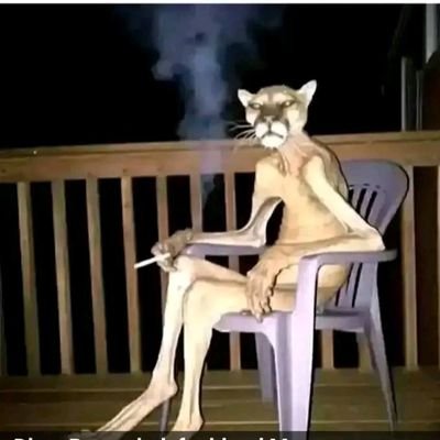 Wasiayathegreat's profile picture. 