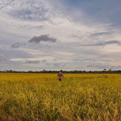 romanstfu's profile picture. 