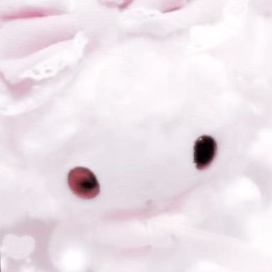 chiikasss's profile picture.