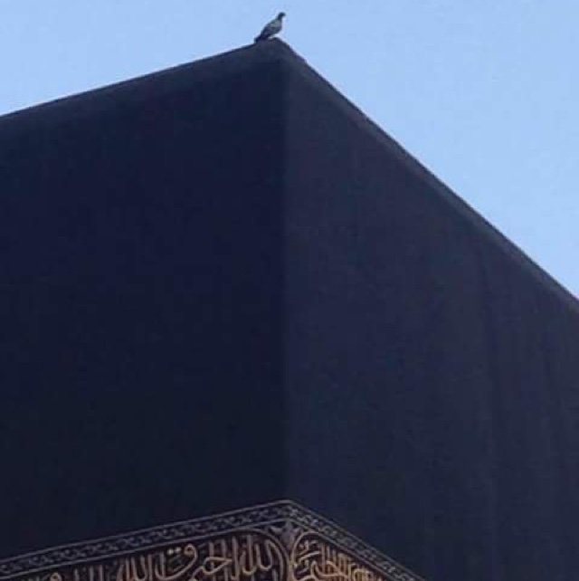 Beyondnois78's profile picture. رقصِ بسمل