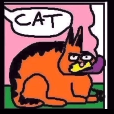 PadraigFahy's profile picture. 
