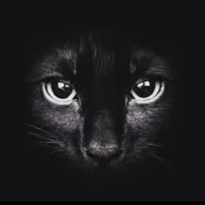 shmiliak41747's profile picture.