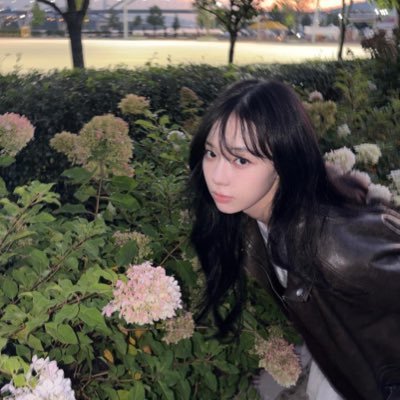 @imjongjang