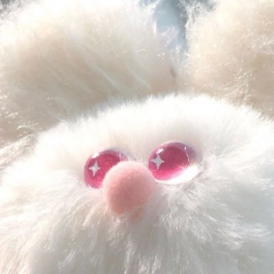 so4soai's profile picture. 姫路の奇跡