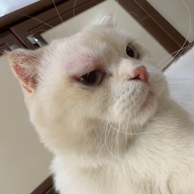 Mirhatunn's profile picture. Kendi halinde karışmayın