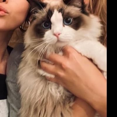 ArunReji744's profile picture. Amen 🍀

✨

Ezekiel 25:17