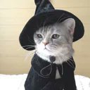 dede0691's profile picture. Nassir 🇩🇪
Challenger TFT 
Master Vladimir Enjoyer 
Master of Science Electrical Engineering