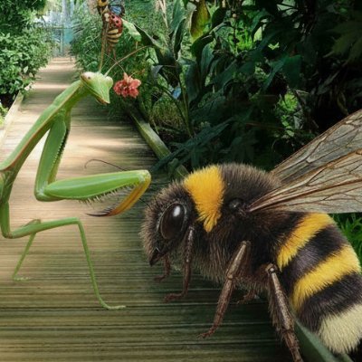 yang543611's profile picture. 。。；