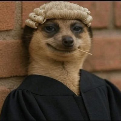 egi_nupe___'s profile picture. What an irony of life!