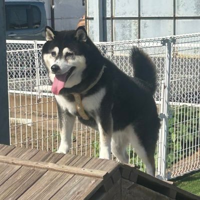 ns_nl_14's profile picture. 