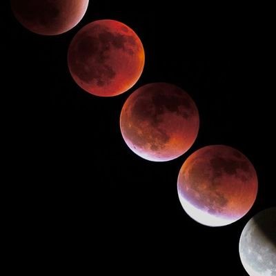 Alireza733764's profile picture. 